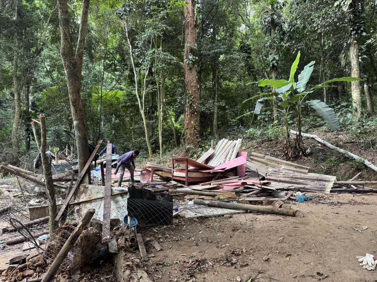 01 Prefeitura de Ilhabela reforça fiscalização em área de preservação permanente no Green Park