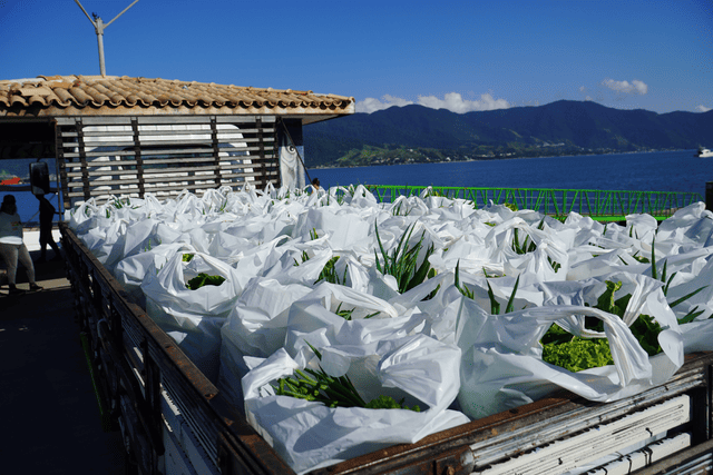 Segunda etapa do Programa de Aquisição de Alimentos distribui mais de 1,8 tonelada de alimentos em Ilhabela