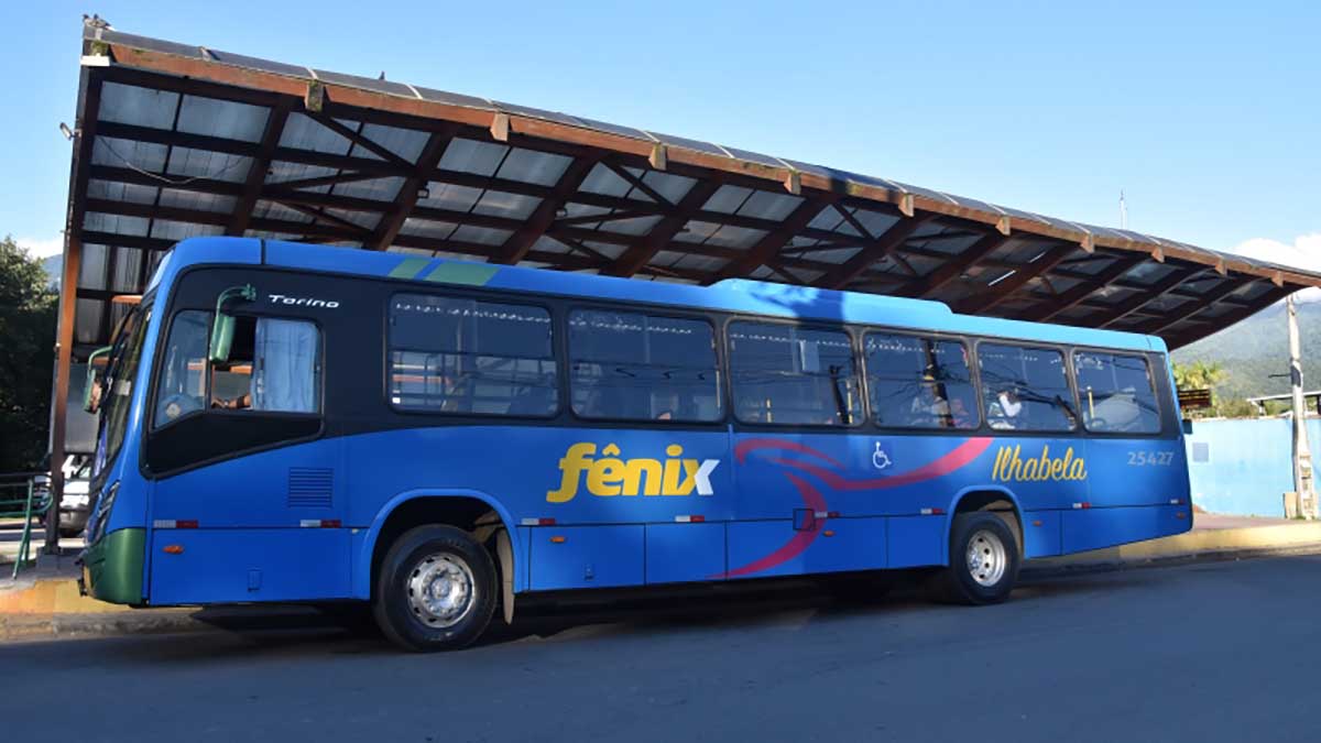 Fênix B