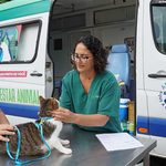 Prefeitura de Ilhabela leva serviços veterinários gratuitos ao Bexiga nesta sexta-feira (16) b