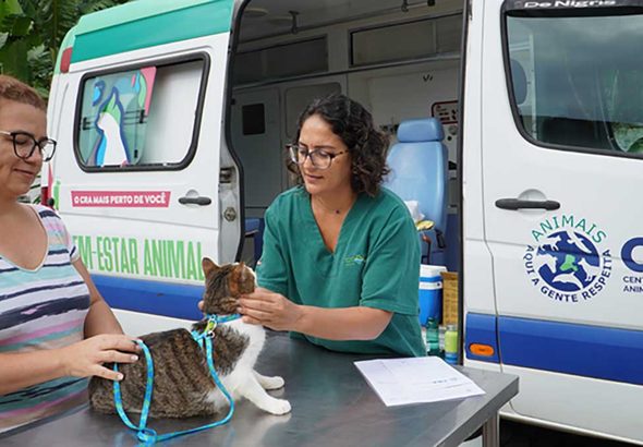 Prefeitura de Ilhabela leva serviços veterinários gratuitos ao Bexiga nesta sexta-feira (16) b